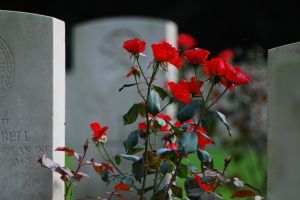 cemetery1.jpg
