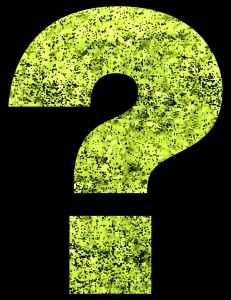 question.jpg