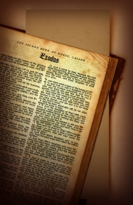 torah.jpg